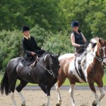 561343_470887529590723_669538409_n